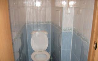 Правила и особенности дизайна туалета по фэншуй: самостоятельное оформление