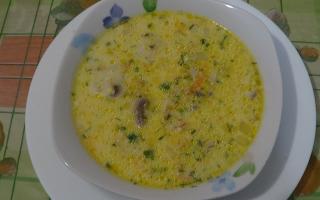 Cырный суп с курицей и плавленым сыром — рецепт с фото